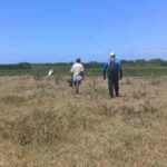 1 Visitando áreas do entorno do Rio São João RJ, com catadores de caranguejo, Foto Marília Fonseca