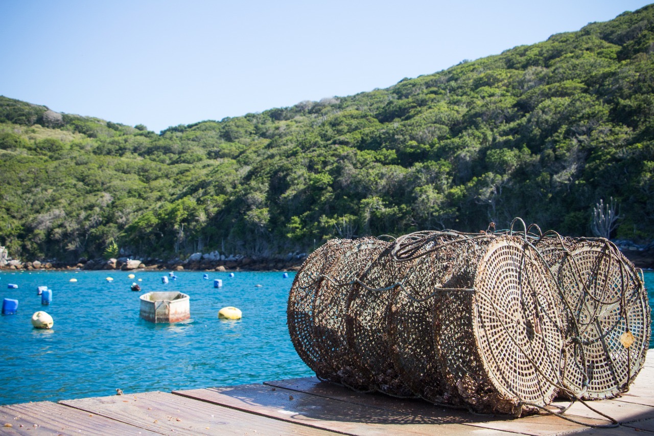 Costa Verde, Rio de Janeiro