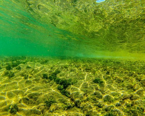 _2014.04.22 Saída Campo Arquipélago Santana - GOPR892604 (Luciano Fischer)