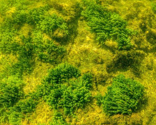 _2014.04.22 Saída Campo Arquipélago Santana - GOPR977004 (Luciano Fischer)