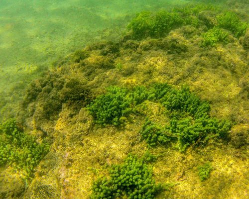 _2014.04.22 Saída Campo Arquipélago Santana - GOPR982604 (Luciano Fischer)