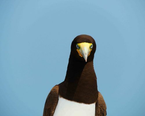 _2014.09.30 Saída Arq.Santana DSCN9233 (Luciano Fischer)