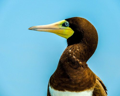 _2014.09.30 Saída Arq.Santana DSCN9308 (Luciano Fischer)