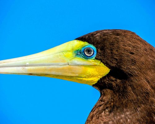 _2015.07.17 Saída Arq.Santana Arrasto DSCN8817 (Luciano Fischer)