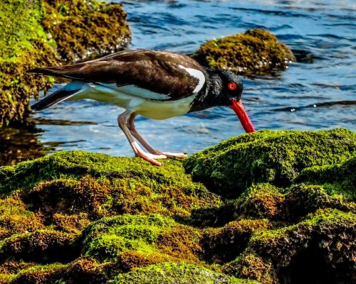 _2016.11.26 Saída Arq.Santana DSCN9079 (Patricia Mancini)