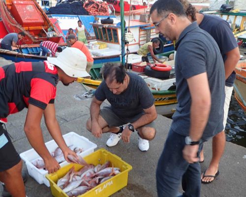 2017.01.05 1º Curso Projeto Multipesca Mercado de Peixes P1050001 (Luciano Fischer)