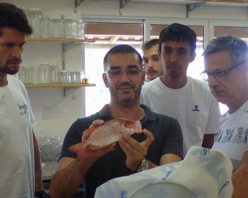 _ 2017.01.05 1º Curso Projeto Multipesca (prof. Jodir Pereira) P1050012 (2) (Luciano Fischer)