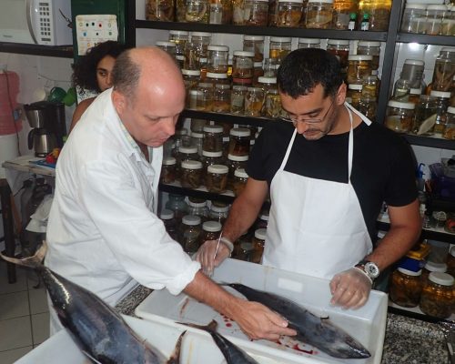 2017.02.21 Amostragem Bonito-listrado Niterói P2210005 (Luciano Fischer)