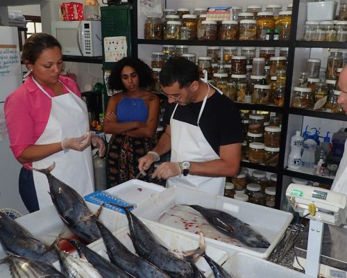 2017.02.21 Amostragem Bonito-listrado Niterói P2210011 (Luciano Fischer)