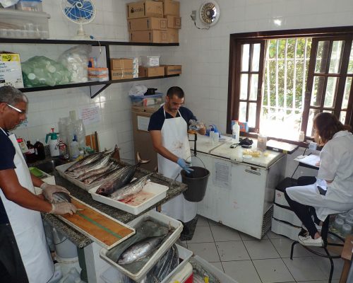 2017.03.09 Amostragem Projeto Bonito-listrado Niterói, RJ P3090363 (Luciano Fischer)