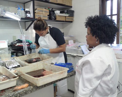 2017.07.12 Amostragem Projeto Bonito-listrado, Niterói, RJ P7120009