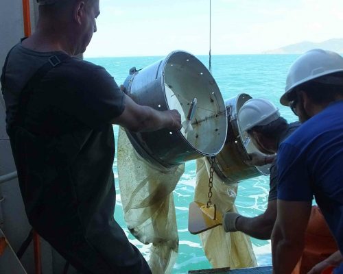 2018.03 Fotos Embarque Multisar NOc Atlântico Sul DSC05113 (Thaís Pedrete) (Thaís Pedrete)