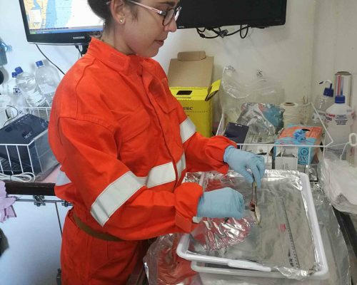 2018.03 Fotos Embarque Multisar NOc Atlântico Sul DSC05175 (Thaís Pedrete) (Thaís Pedrete)