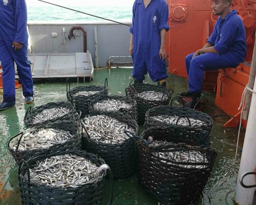 2018.03 Fotos Embarque Multisar NOc Atlântico Sul IMG_20180323_161445 (Thaís Pedrete)