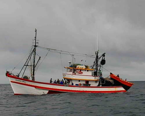 2018.04.01 Embarque Multisar (NIKON) DSCN9603 (Luciano Fischer)