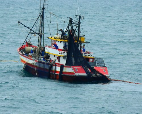 2018.04.01 Embarque Multisar (NIKON) DSCN9651 (Luciano Fischer)