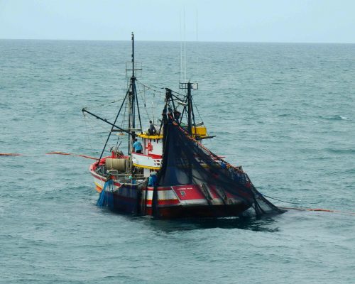 2018.04.01 Embarque Multisar (NIKON) DSCN9794 (Luciano Fischer)