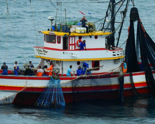 2018.04.01 Embarque Multisar (NIKON) DSCN9821 (Luciano Fischer)