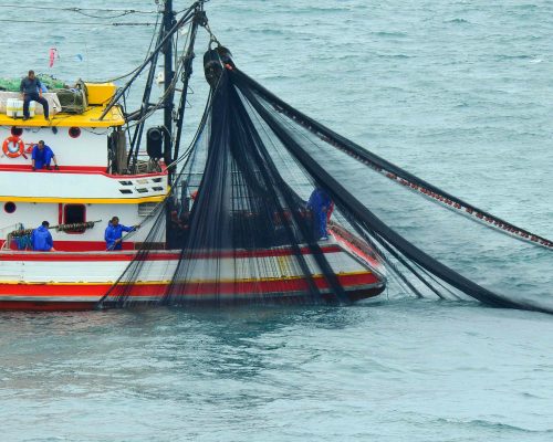 2018.04.01 Embarque Multisar (NIKON) DSCN9836 (Luciano Fischer)