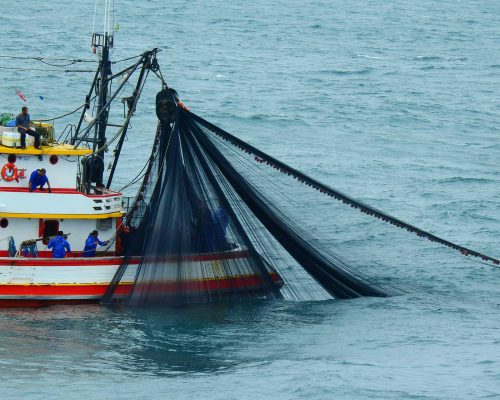 2018.04.01 Embarque Multisar (NIKON) DSCN9846 (Luciano Fischer)