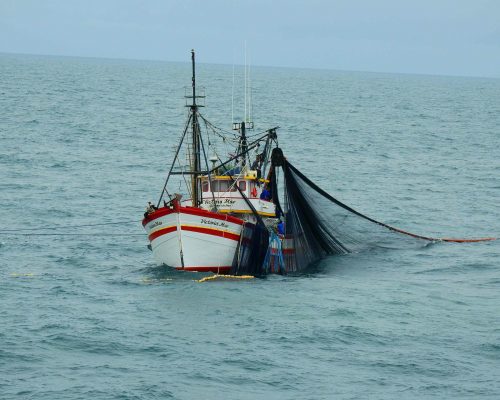 2018.04.01 Embarque Multisar (NIKON) DSCN9857 (Luciano Fischer)