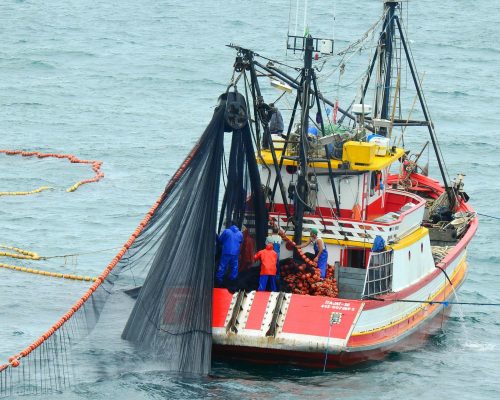 2018.04.01 Embarque Multisar (NIKON) DSCN9875 (Luciano Fischer)