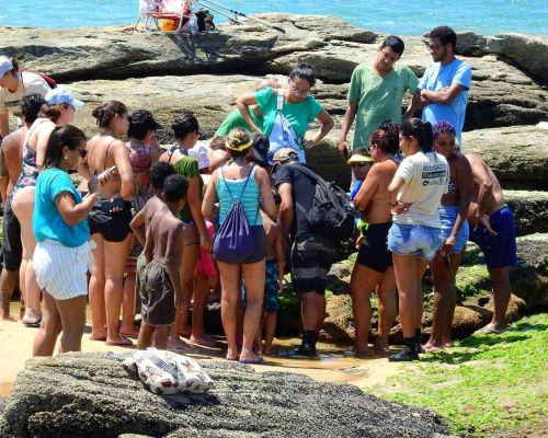 _2019.03.10 1° NUPEM na Praia Cavaleiros Macaé RJ DSCN4559