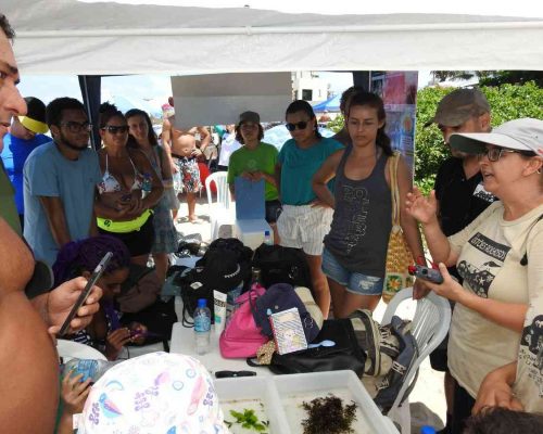 _2019.03.10 1° NUPEM na Praia Cavaleiros Macaé RJ DSCN4648