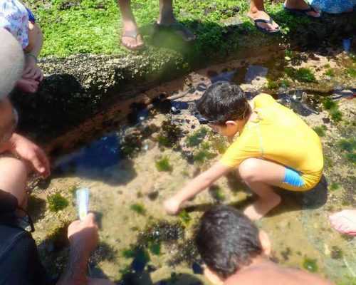 _2019.03.10 1° NUPEM na Praia Cavaleiros Macaé RJ LGF00006