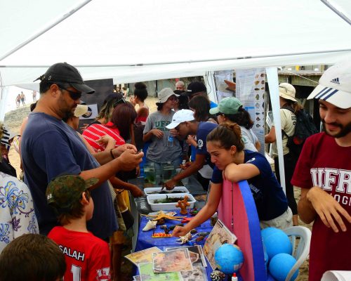 _2019.11.09 Evento 3° NUPEM na Praia Oceanografia Praia Cavaleiros DSCN1202 (Luciano Fischer)