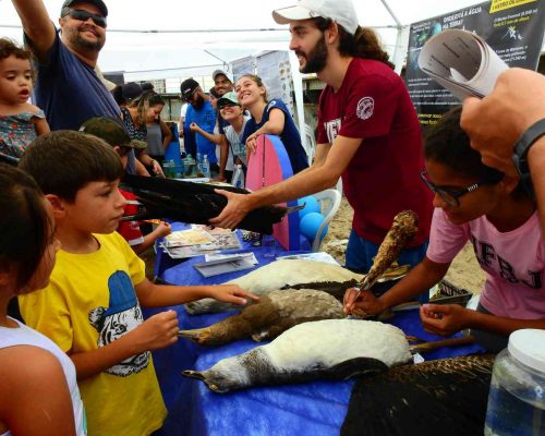 ___2019.11.09 Evento 3° NUPEM na Praia Oceanografia Praia Cavaleiros DSCN1209 (Luciano Fischer)