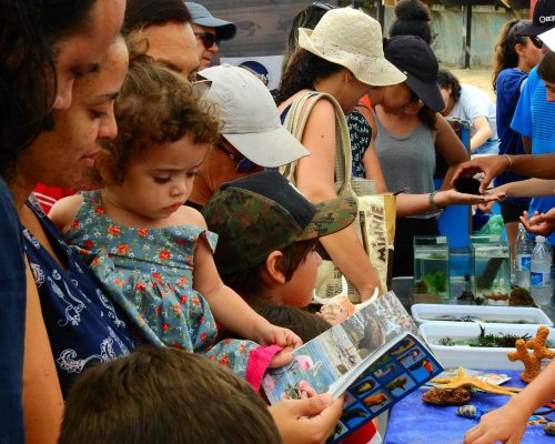 _2019.11.09 Evento 3° NUPEM na Praia Oceanografia Praia Cavaleiros DSCN1216 (Luciano Fischer)
