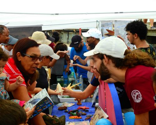 _2019.11.09 Evento 3° NUPEM na Praia Oceanografia Praia Cavaleiros DSCN1218 (Luciano Fischer)