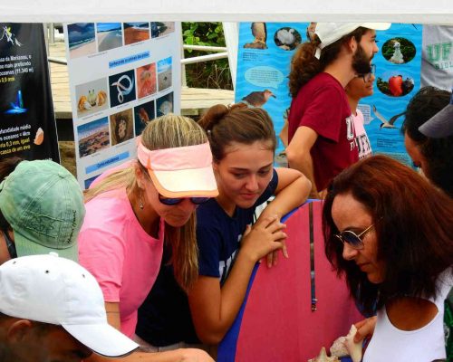 ___2019.11.09 Evento 3° NUPEM na Praia Oceanografia Praia Cavaleiros DSCN1297 (Luciano Fischer)
