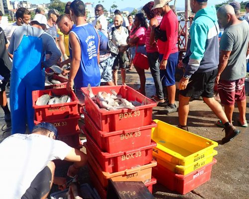 2022.03.18 Projeto Salvar Desembarque Mercado Peixes Macaé RJ LGF00435 (Luciano Fischer)
