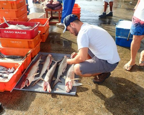 2022.05.12 Projeto Salvar Desembarque Mercado Peixes Macaé RJ LGF00646 (Luciano Fischer)