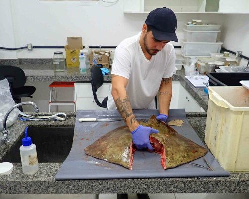 2022.05.27 Projeto Salvar Desembarque Mercado Peixes Macaé RJ LGF00018