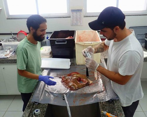 2022.05.27 Projeto Salvar Desembarque Mercado Peixes Macaé RJ LGF00096