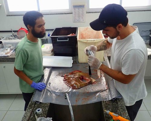 2022.05.27 Projeto Salvar Desembarque Mercado Peixes Macaé RJ LGF00097