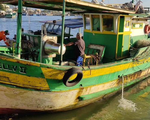 2022.06.18 Projeto Salvar Desembarque Mercado Peixes Macaé RJ 2022-06-18 07.31.45 (Luciano Fischer)