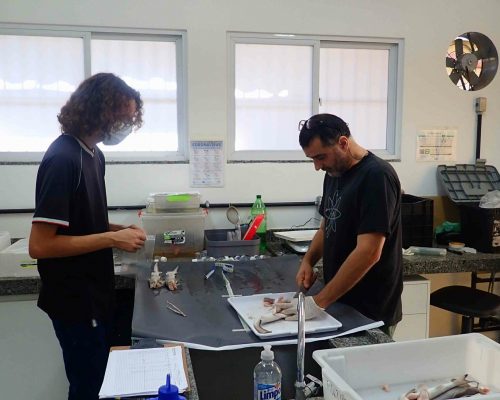 2022.06.18 Projeto Salvar Desembarque Mercado Peixes Macaé RJ LGF00056