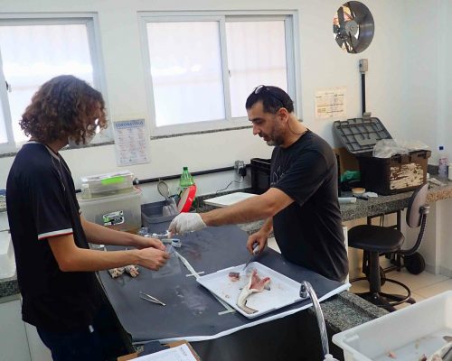 2022.06.18 Projeto Salvar Desembarque Mercado Peixes Macaé RJ LGF00060