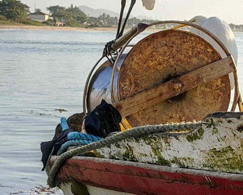 2022.06.20 Desembarque Mercado Peixes Macaé RJ 2022-06-20 07.41.49 (Luciano Fischer)