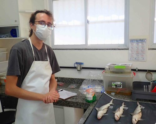 2022.06.20 Desembarque Mercado Peixes Macaé RJ LGF00009 (Luciano Fischer)