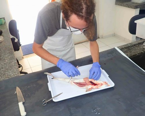 2022.06.20 Desembarque Mercado Peixes Macaé RJ LGF00013 (Luciano Fischer)