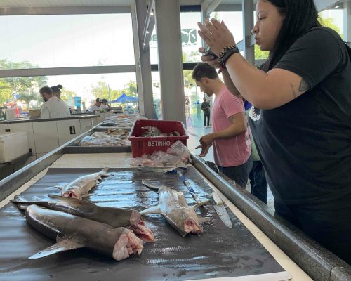 2022.06.21 Desembarque Mercado Peixes Macaé RJ IMG_1569 (Ingrid Hyrycena dos Santos)