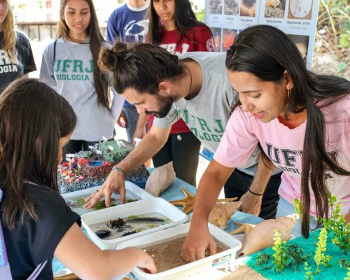 _2022.07.29 NUPEM na Praia Cavaleiros Macaé RJ 068A0661 (Luciano Fischer)_6