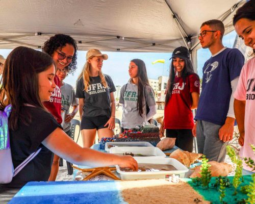 _2022.07.29 NUPEM na Praia Cavaleiros Macaé RJ 068A0662 (Luciano Fischer)_7