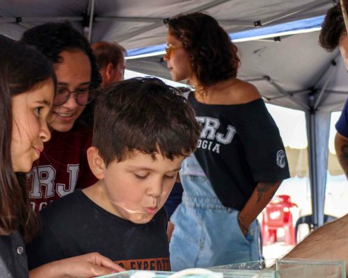 _2022.07.29 NUPEM na Praia Cavaleiros Macaé RJ 068A0672 (Luciano Fischer)_15