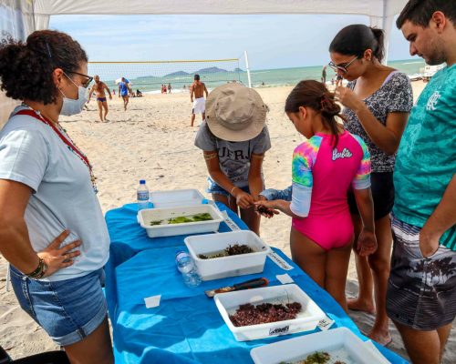 _2022.07.29 NUPEM na Praia Cavaleiros Macaé RJ 068A0839 (Luciano Fischer)_1